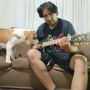 @enterlink3d