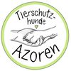 tierschutzhunde_azoren