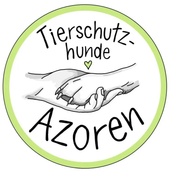 tierschutzhunde_azoren