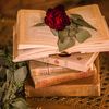 annanenci_booklover