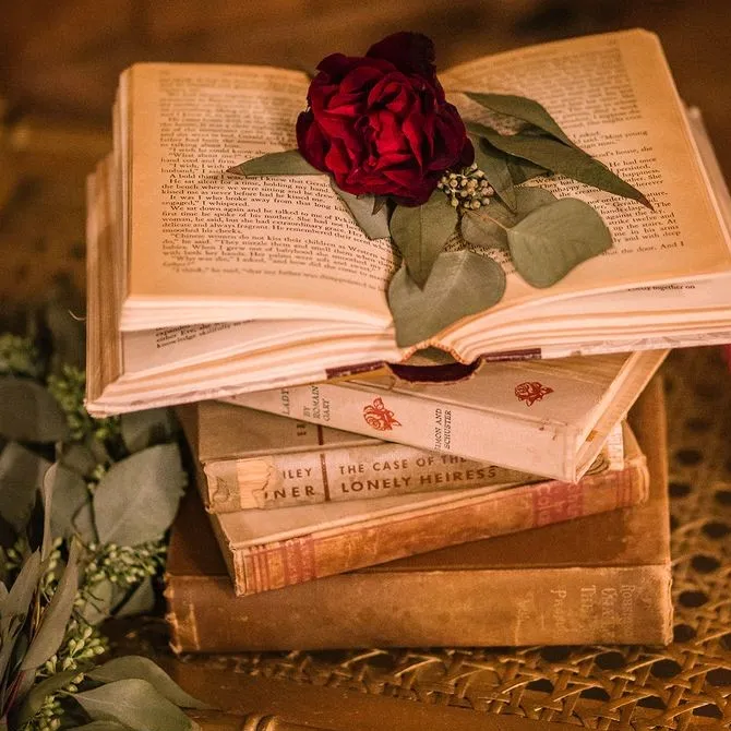 annanenci_booklover