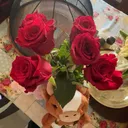 @amelia.marcum8