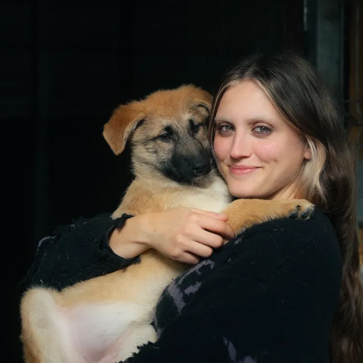 ameliathedogtrainer