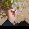 .arjin_34