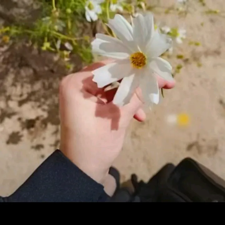 .arjin_34