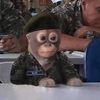 money_monke96