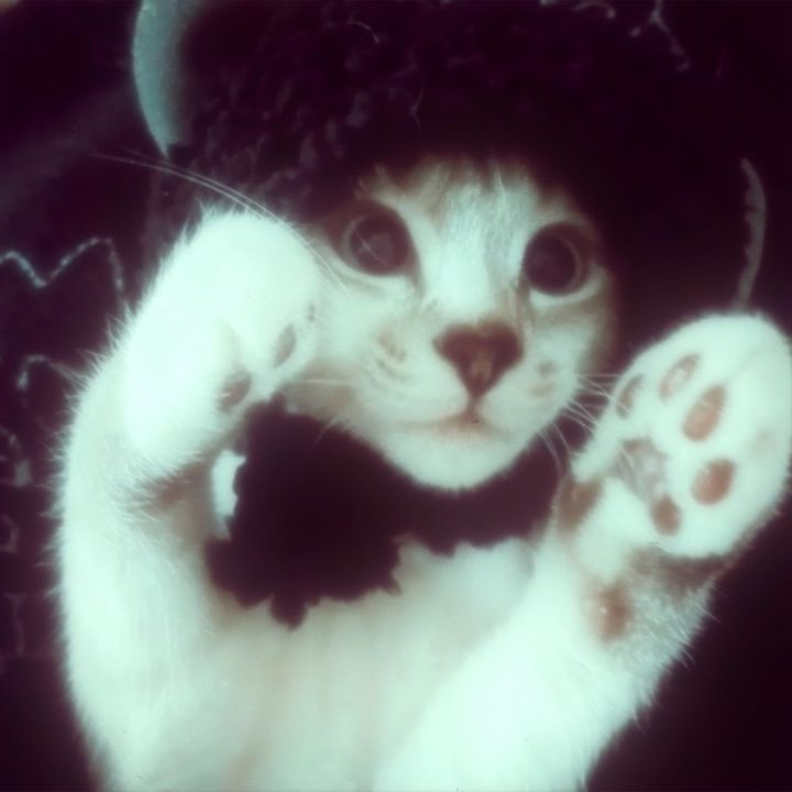 。・°°・(＞_＜)・°°・。 - original sound