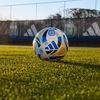 futbolargentino446