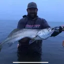 @captdanielland