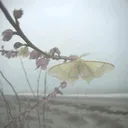 @sanriobishh