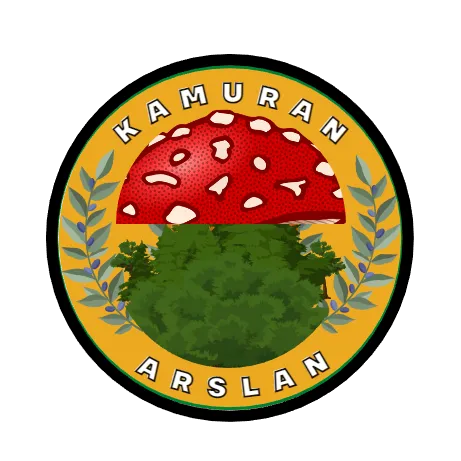 kamuran.arslan.17