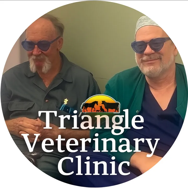 triangle.vet