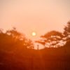 scade_aesthetics1