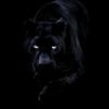 1234jaguarpowllexicopowl