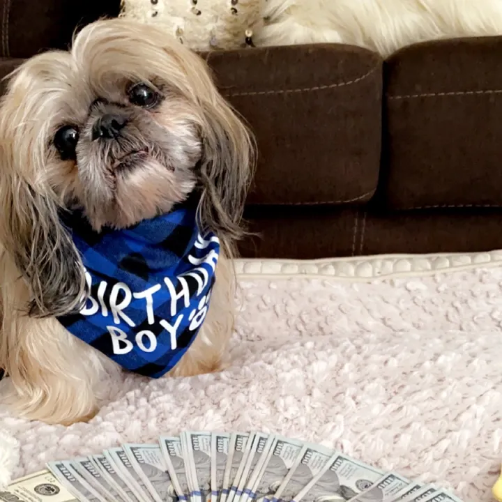 cashmommivacs