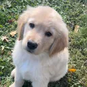 @barry_barkington