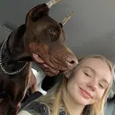 @doberberkut