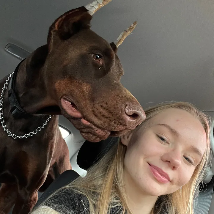 doberberkut
