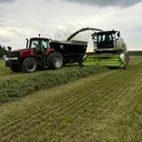 @pingreyfamilyfarmllc