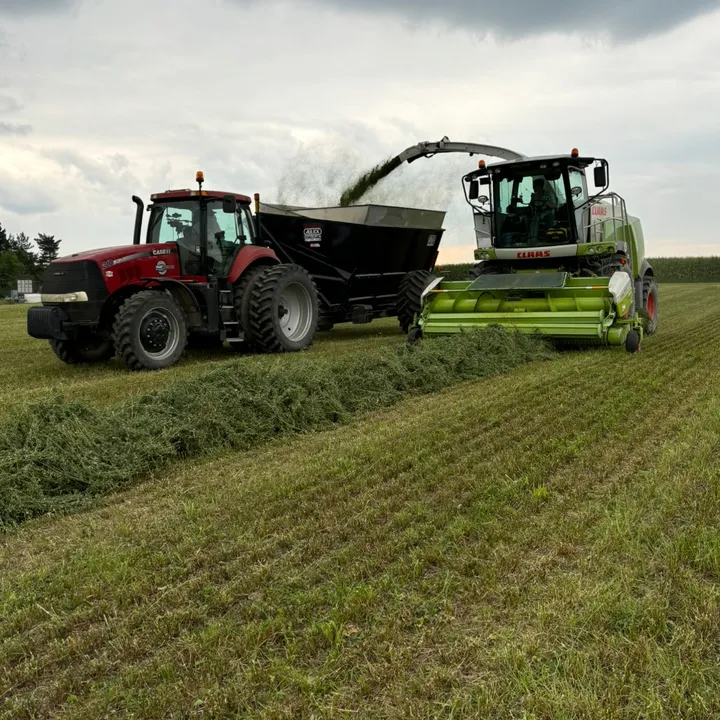 pingreyfamilyfarmllc