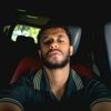 abel.t12