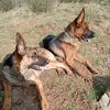 jack_and_iska