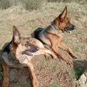 @jack_and_iska