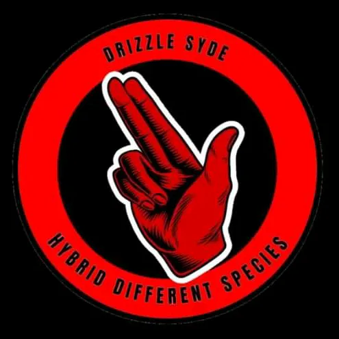@drizzlesyde.promo