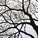 @quoteloving