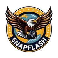 SnapFlash - original sound