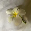 @lighthouse.of.life