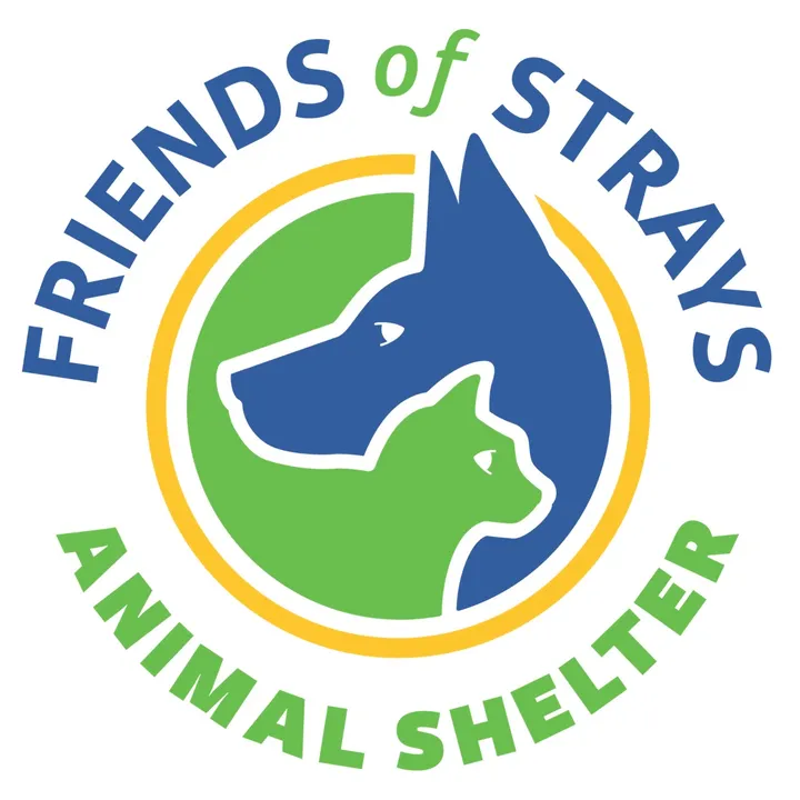friendsofstraysfl