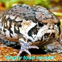@angry_toad_75