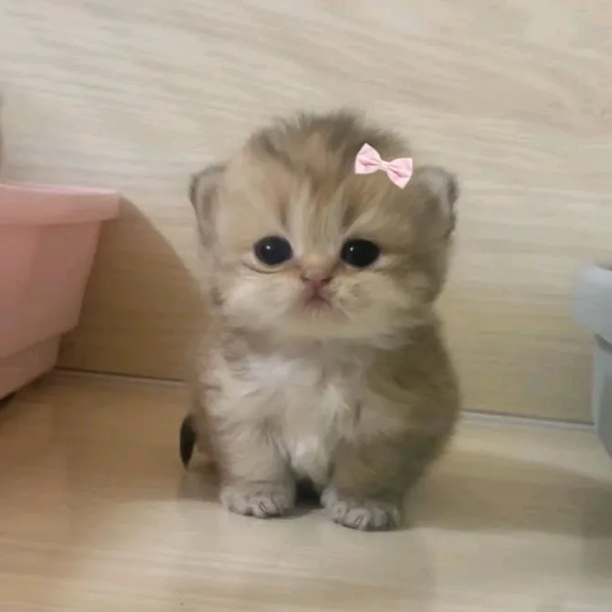 @eblan_674
