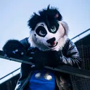 @krawacikpanda
