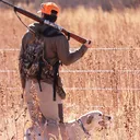 @highbrassgundogs