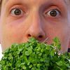 urbanagmike