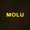 molu599