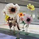 @detoate000