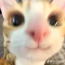 @hannahbclanton