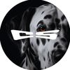 the.canine.studio