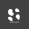 secret_night18
