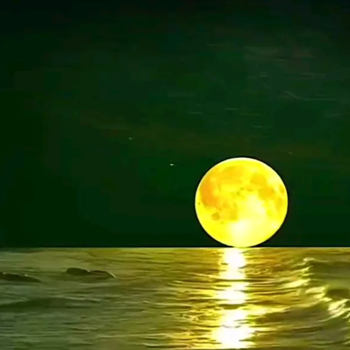 @morada671