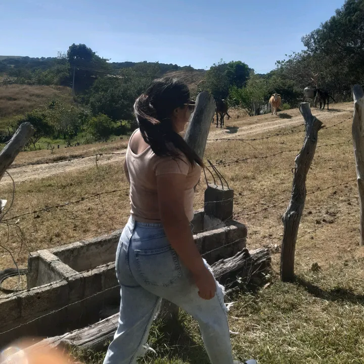 brisadetorres