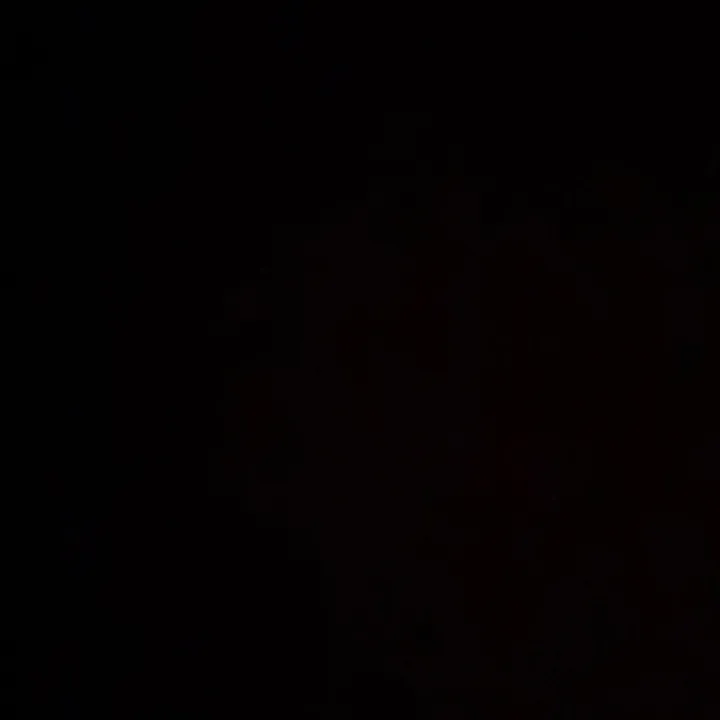 nancyiodice1
