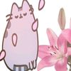 moe_mur0