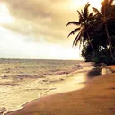 @native_hawaii