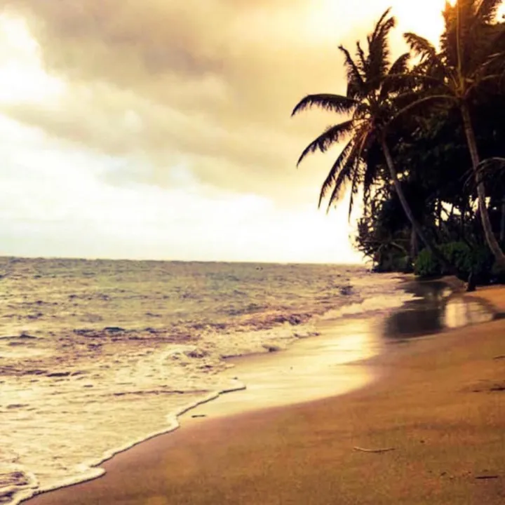 @native_hawaii