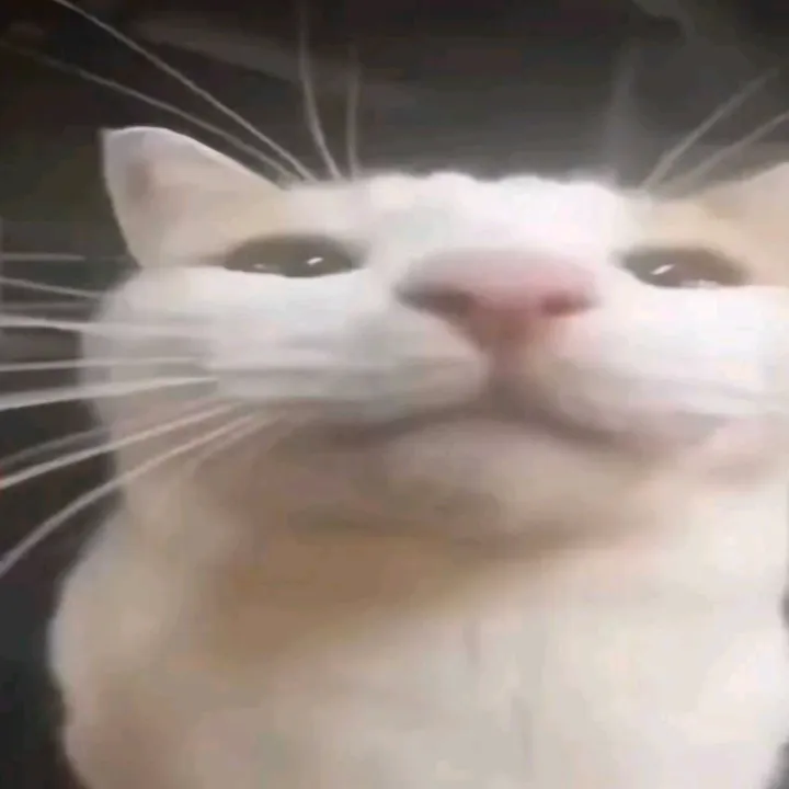@johnquavius_the_t