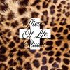 piecesoflifestudio